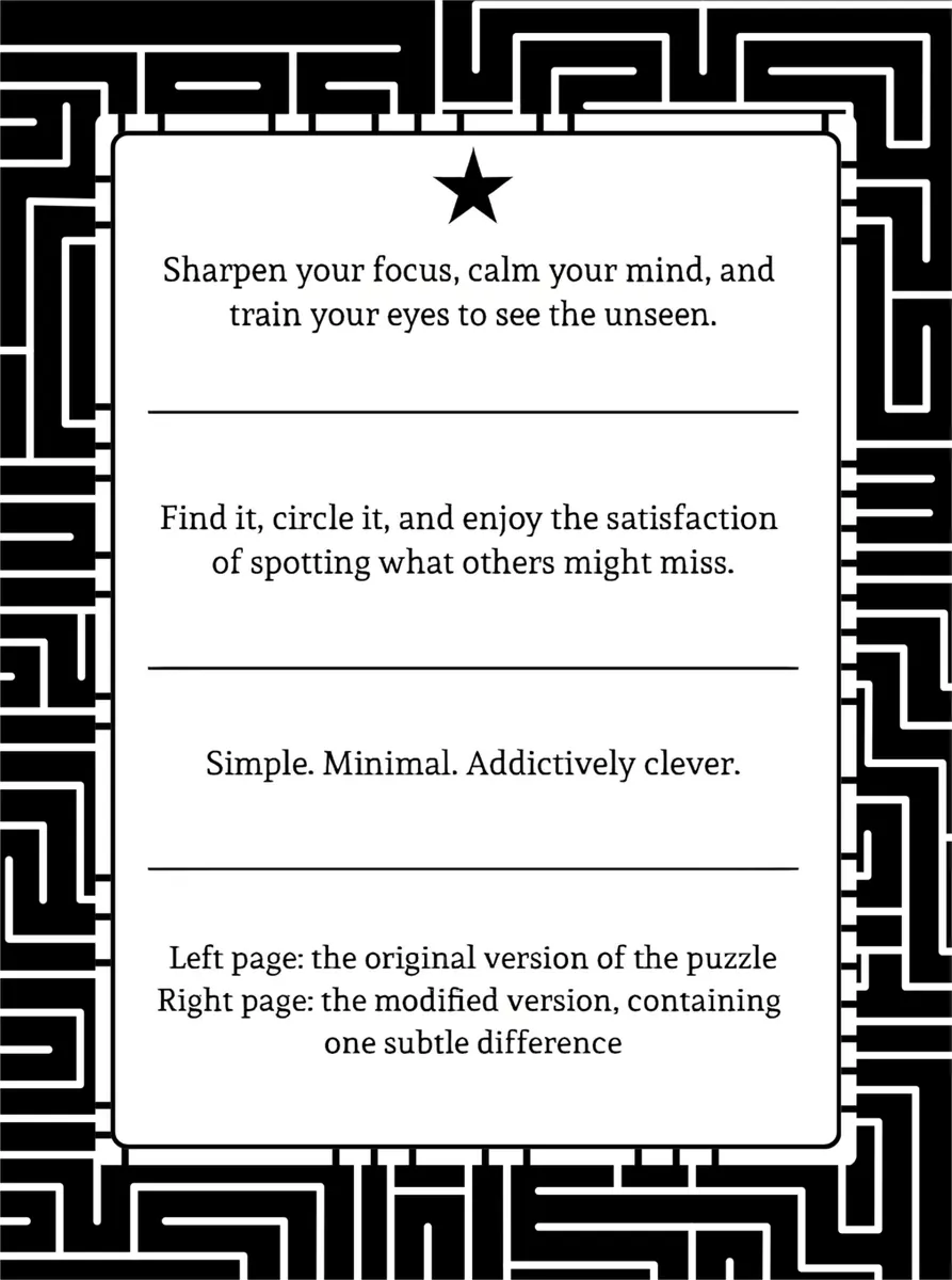 Interior preview from Odd One Out — Visual Brain Teasers for Adults